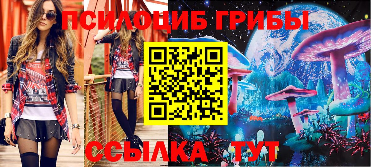Галлюциногенные грибы мицелий Махачкала