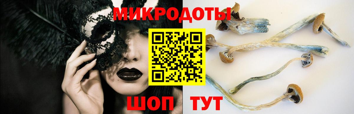 Махачкала  Псилоцибиновые грибы Psilocybe  Вход с VPN 