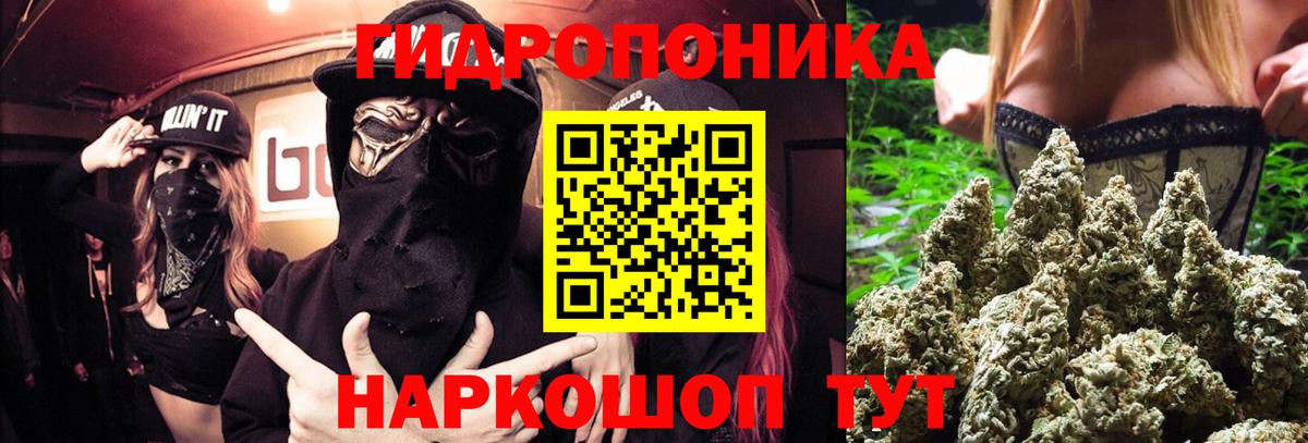 Конопля Ganja Махачкала
